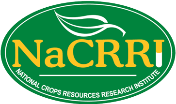 National Crops Resources Research Institute (NaCRRI)