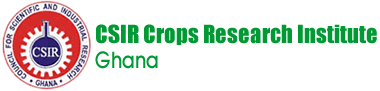 CSIR - Crops Research Institute (CRI)